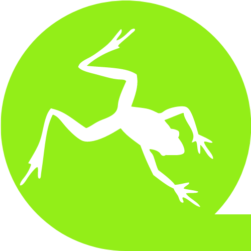 Digital Frog logo