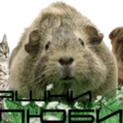 Domashnilubimci.eu logo