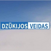 Dzūkijos Veidas logo