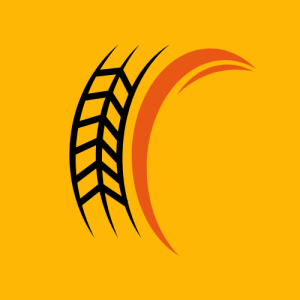 Ehua Store logo