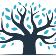 EMN logo