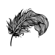 Esencjalnie logo