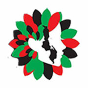 Face of Malawi logo