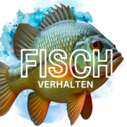 Fischverhalten logo