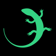 Fitchameleon.com logo
