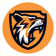 Gam Raw Reports logo