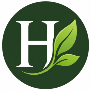 Have Aviz logo
