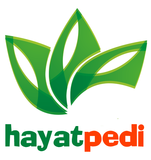 Hayatpedi.Com logo