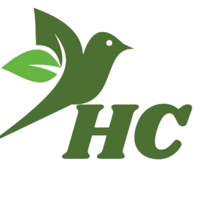Health E-Corner logo