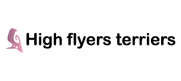 Highflyersterriers.nl logo