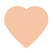 Homeandlife.Cz logo