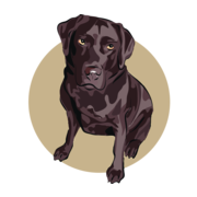 Honden centrum logo