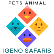 Igenosafaris.com logo