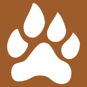 Info Animals logo
