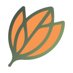 Internetboekhandellimburg.nl logo