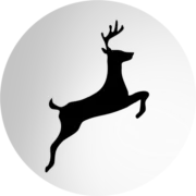 Invest Orbit logo