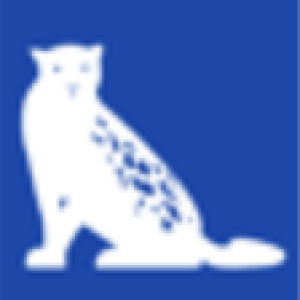 Journaldugabon.com logo