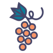 Julieblue.nl logo