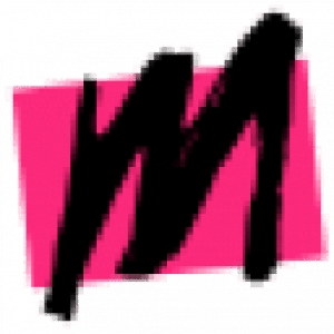 Lamaisonideale.fr logo