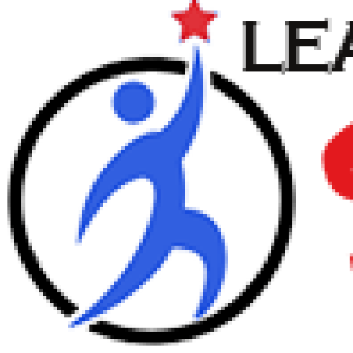 Leanstartupdrill.com logo