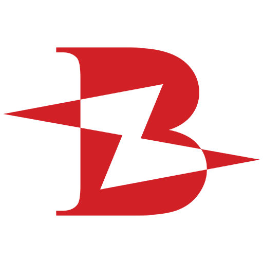 Le Buzz du Biz logo
