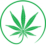Lecbd.info logo