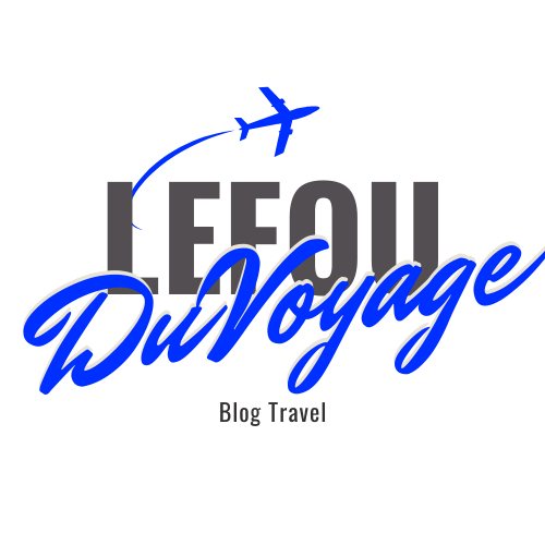 Le Fou du Voyage logo