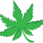 Life Plan CBD logo