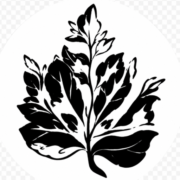Manometcurrent.com logo