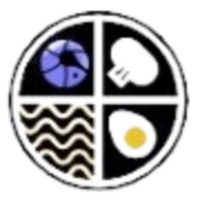 Meal Top logo