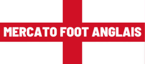 Mercatofootanglais.com logo