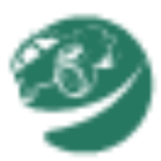 MondoFuoristrada logo