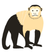 Monkey English logo