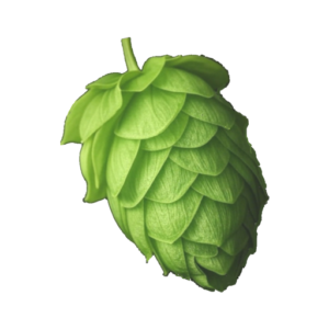 MyBeerBuzz News logo