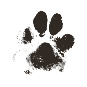 My Dream Dogs logo