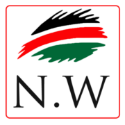 Nairobiwire.com logo