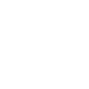 Navideiveleni.it logo