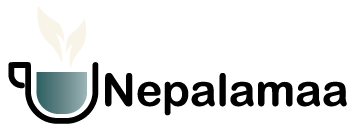 Nepalamaa.com logo