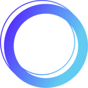 NetCost Security logo