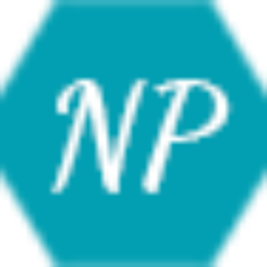 Netherlandsnewslive.com logo