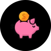 Net Worth US logo
