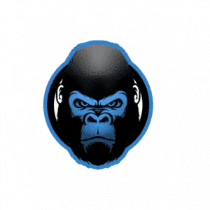 Networthgorilla.com logo