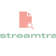 News Stream Tracker logo
