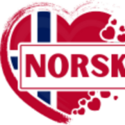 NorskeCasino logo
