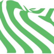 North Shore Timing Online logo