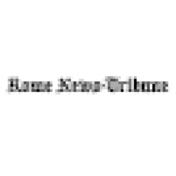Rome News Tribune logo