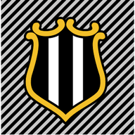 Nothing But Newcastle logo