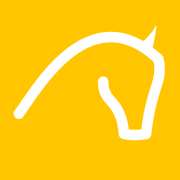 Noti Caballos logo