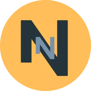 NSIN logo