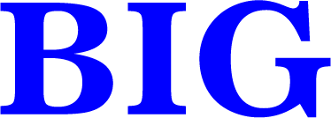 Nysebigstage.com logo